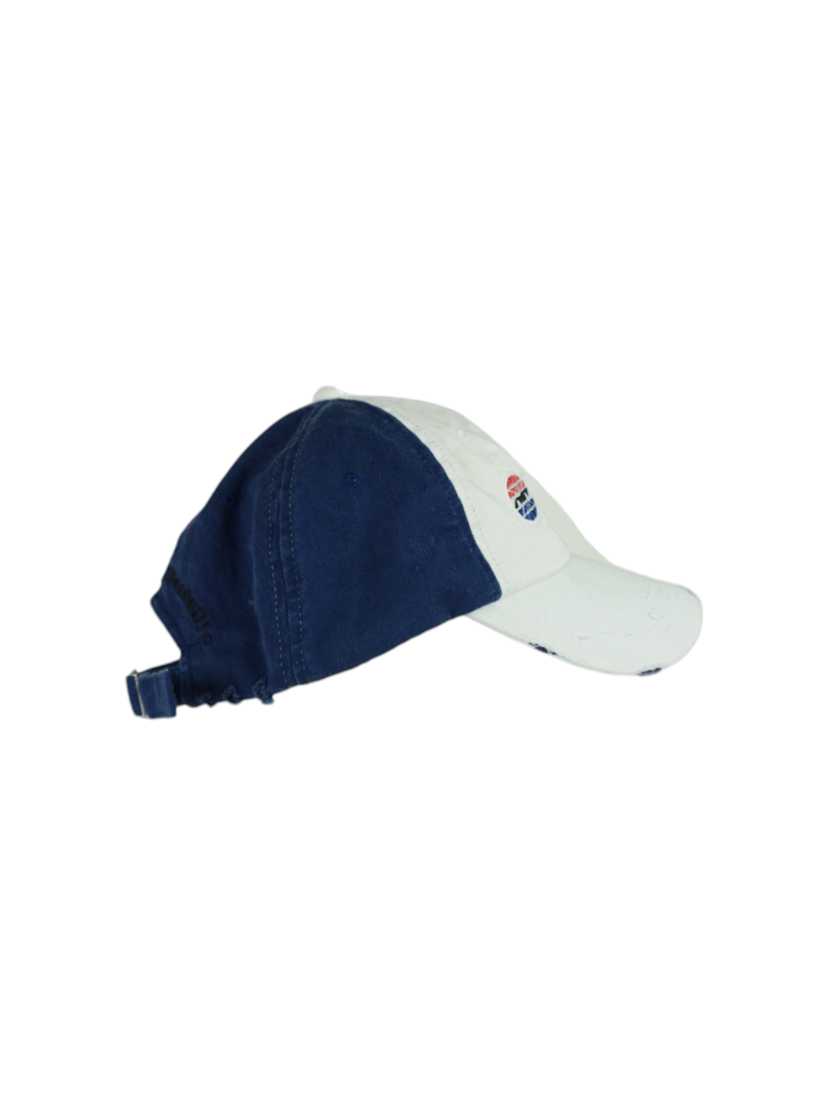 Vintage Texas Motor Speedway Cap